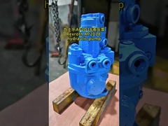 Graafwerktuig Hydraulic Pump